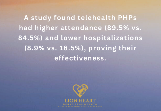 What is a Partial Hospitalization Program