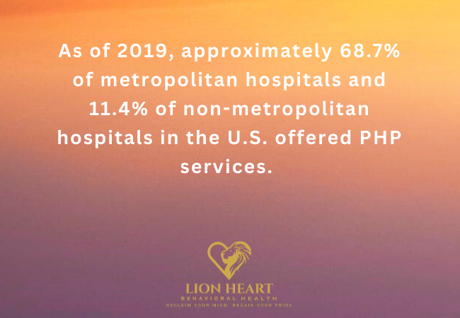 Is a Partial Hospitalization Program Right for You